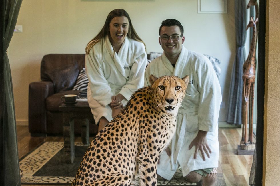 Extend your Wild Escape – 15% off your second night!