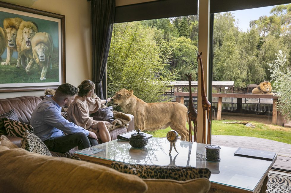 4-day, 3-Night Luxury & Adventure Package
