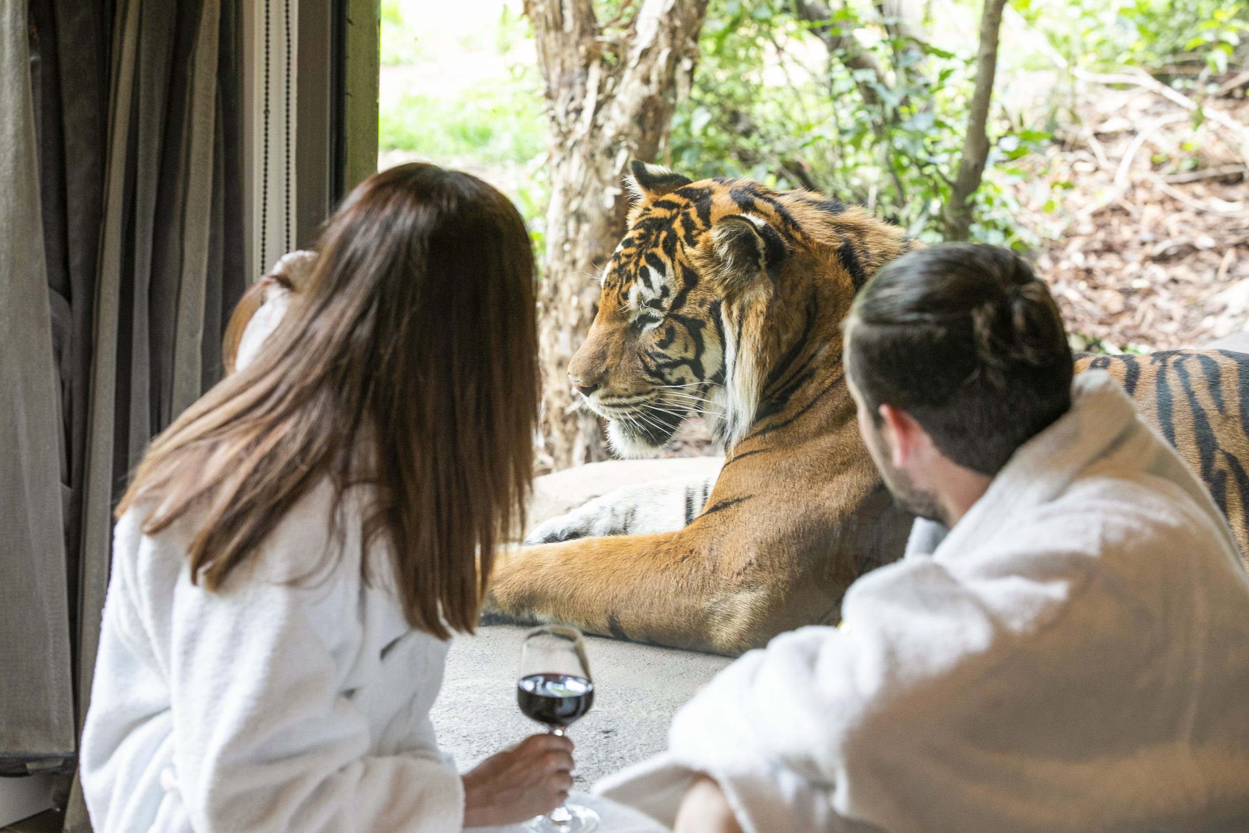 Tiger Jungle Bungalow