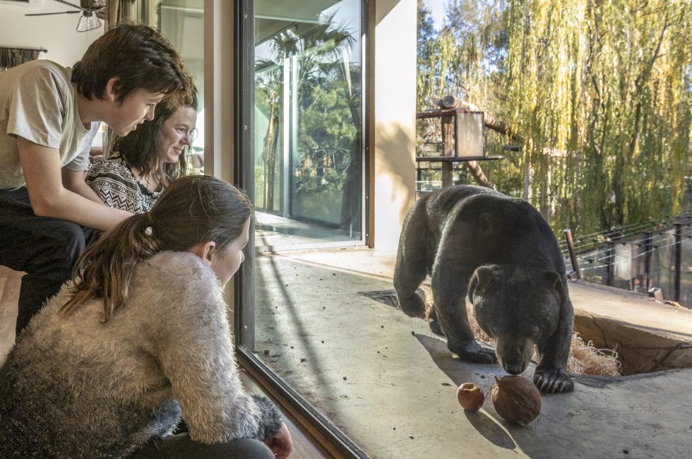 Last Minute Booking Opportunities!