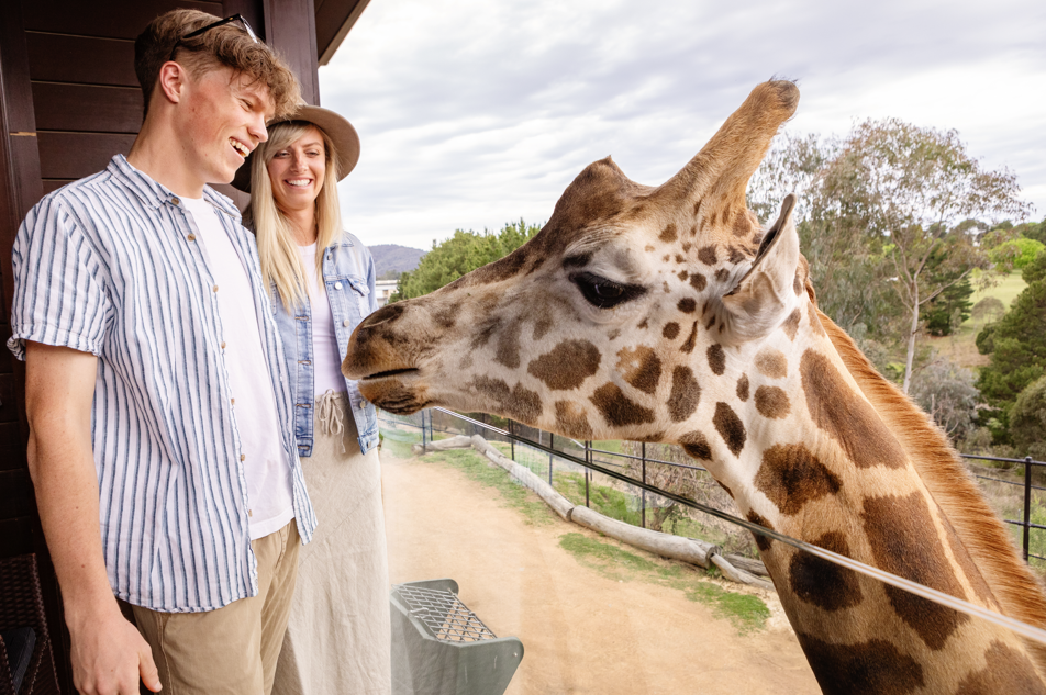 Celebrate Love This February at Jamala!