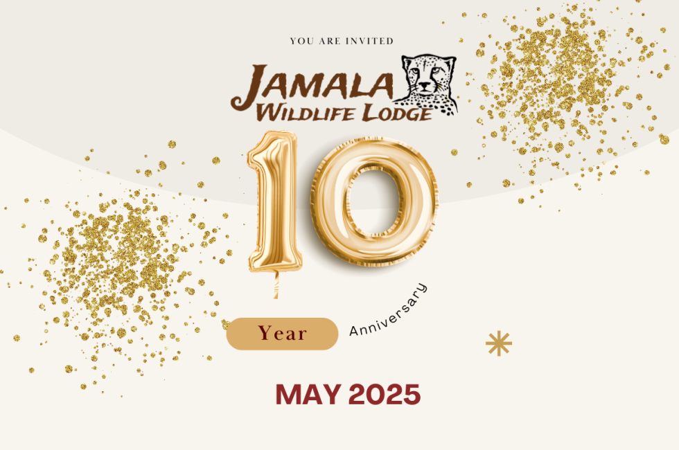 Protected: Jamala’s 10th Birthday