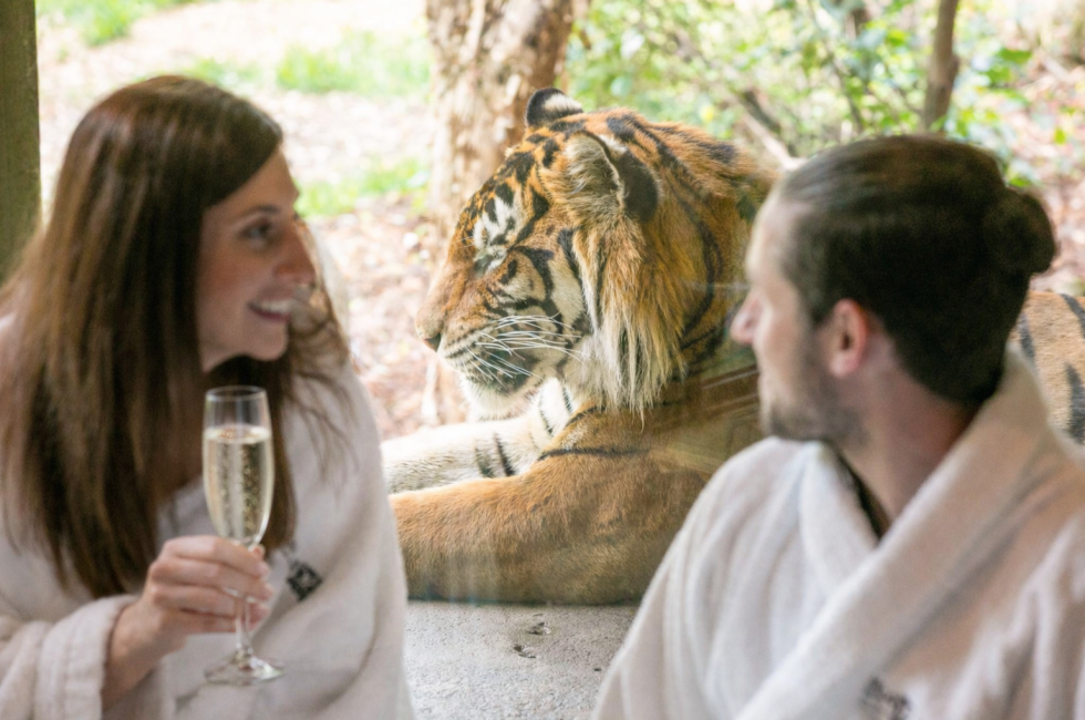 Moët Rosé & Macaron Indulgence – Mother’s Day Special