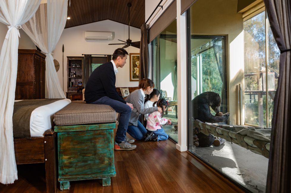 Children can stay for free!